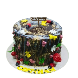 Chocolate Truffle Cake