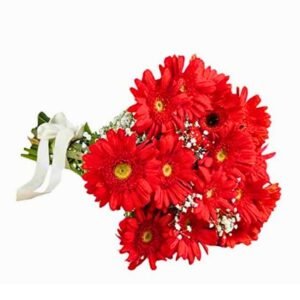 Gerbera Bouquet