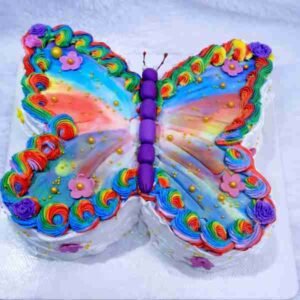 Butterfly Theme Cake